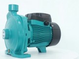 Centrifugal Pumps