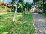 A land for sale in Narangalla. Kithalawa