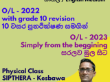 Business and Accounting Studies - O/Ls