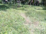 10P land near Kottawa highway