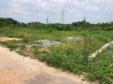 10P Land for sale at Wattala