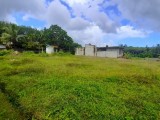 නගරයට නුදුරින් සියළු පහසුකම් සහිත සුන්දර ඉඩමක් - හොරණ