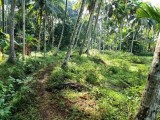 Land For Sale In Monaragala