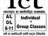 AL and OL ICT individual & Group Classes