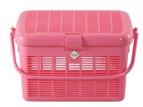 Phoenix Baby Basket