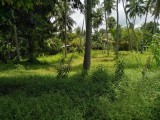 Land for sale in Kuliyapitiya