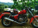 Loncin Other Model 2005 (Used)