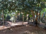 Land for Sale in Hadapangodada