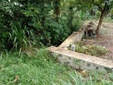 12 perches bare land for sale in Gonapola for Rs. 30 lakhs  (Rs.250,000/- per perch)