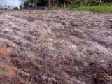 Land for Sale - Kuliyapitiya