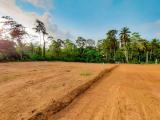 Land For Sale In Panadura - Alubomulla