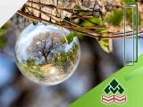 Website designs - Online Shop