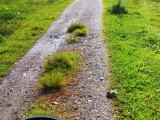 Valued land in horana city proximity