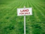 Land sale immediatley