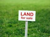 Land for sale- Bolana