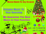 Calypso Band For Any Occasion