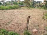 20 Perch Land for Sale - Kalagedihena Veyangoda