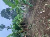 Land for Sale at Athurugiriya
