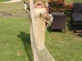 Wedding saree