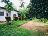Land with House