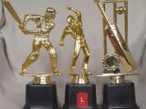 Sports trophys action cups