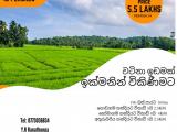 වෙල්‍ යායකට මුහුණලා ඉතාමත් මනරම් වටපිටාවක් සමග, අතේ ඇති ගානට වටිනා ඉඩමක්