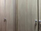 Mahogany Wardrobe Cupboard