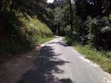 bare land for sale in rattota (beside matale-ilukkumbura road)