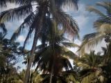 low price land in a calm quite environment