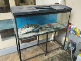 Fish tank with accessories for sale
