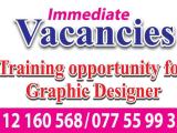 Graphic Designer