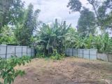 වාද්දුව අවටින් අගනා ඉඩම් කොටසක්