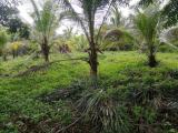 100 Perch Land For Sale