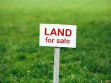Land For Sale In Boralesgamuwa