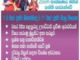 Grade 1_o/l sinhala, mathematics, science, English, geography, history, online or home visiting classes