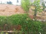 Land for sale