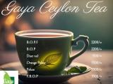 ගයා සිලෝන් උසස් තත්වයේ තේ කොළ