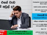 Microsoft 365 (Word, Excel, PowerPoint) Intermediate Course