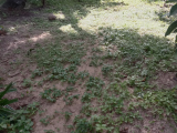 Land for sale ! | ඉඩමක් විකිණීමට ඇත !