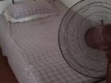 Room for rent in Wickramasinghepura