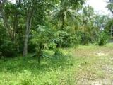 Land for sale near main road