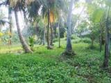 Land for sale at Digana, Kandy