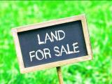 Land for Sale in Kuliyapitiya