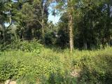 103 Perches Land available for Sale in Wataddara, Veyangoda.