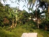 Land For Sale In Ingiriya