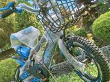 Kids bicycles size 12(Brand new)