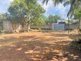 50 Perches of Land for Sale at Raja Mawatha, Ekala, Ja-Ela.
