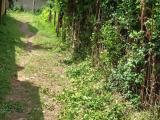 2 Land For Sale