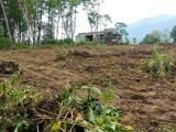 Land For Sale In Horana