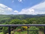14 Acres of Cinnamon Cultivated Land  For Sale in  Avissawella.